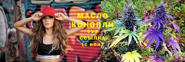 молекула духа Богданович