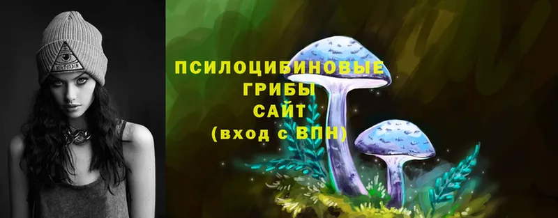 Псилоцибиновые грибы Magic Shrooms  Хотьково 